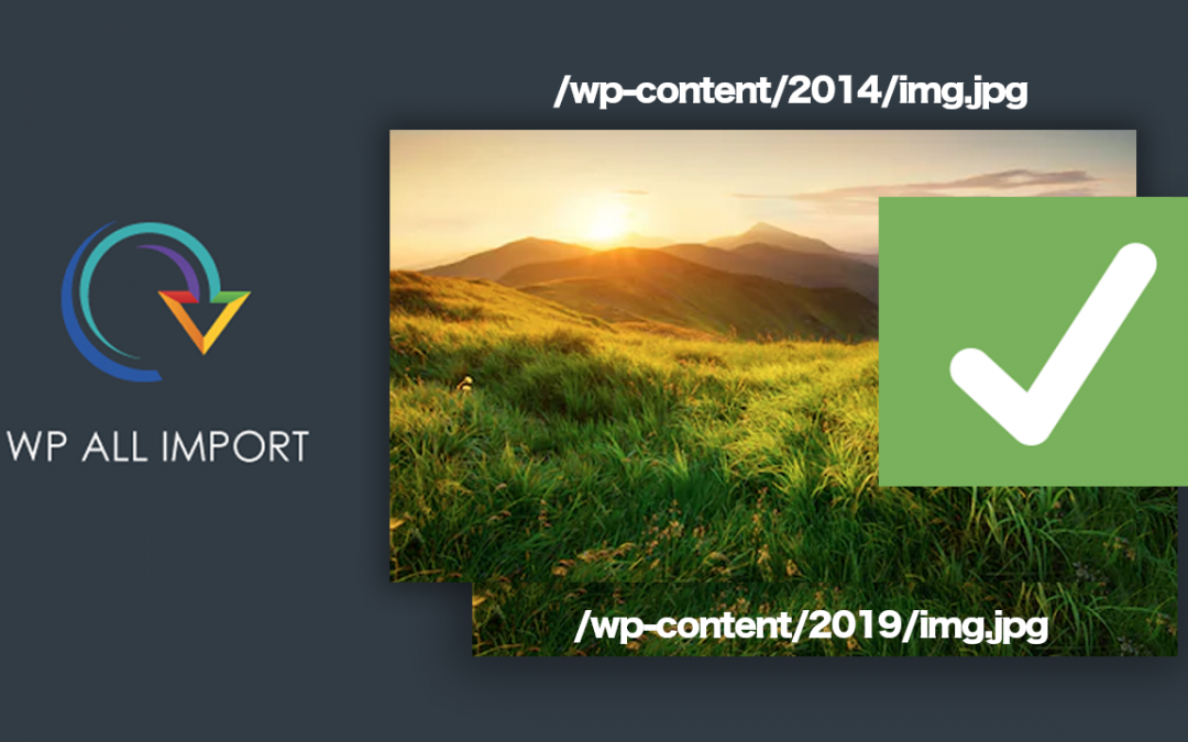Wp All Imports Guide: How To Fix The Wrong Media File Name During the Migration