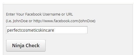 enter the facebook username to get the facebook email address without resetting